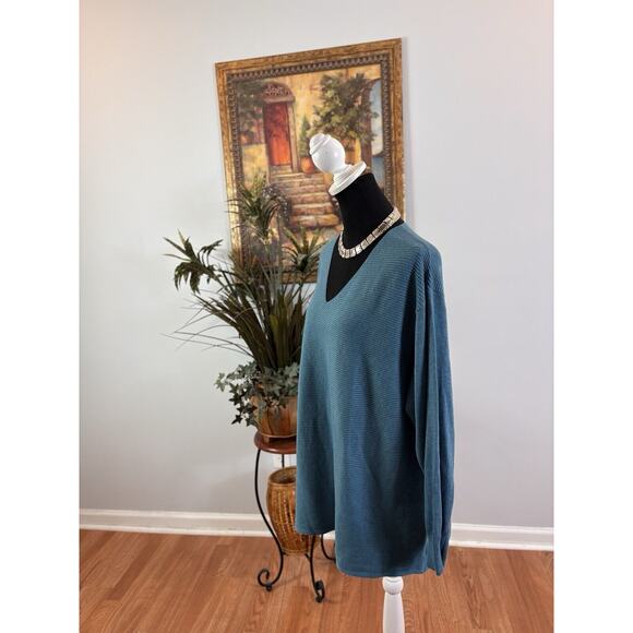 Women's Size XXL Ella Moss Sweater Pullover Ribbed V-Neck Blue Soft Long Sleeve - Picture 2 of 9